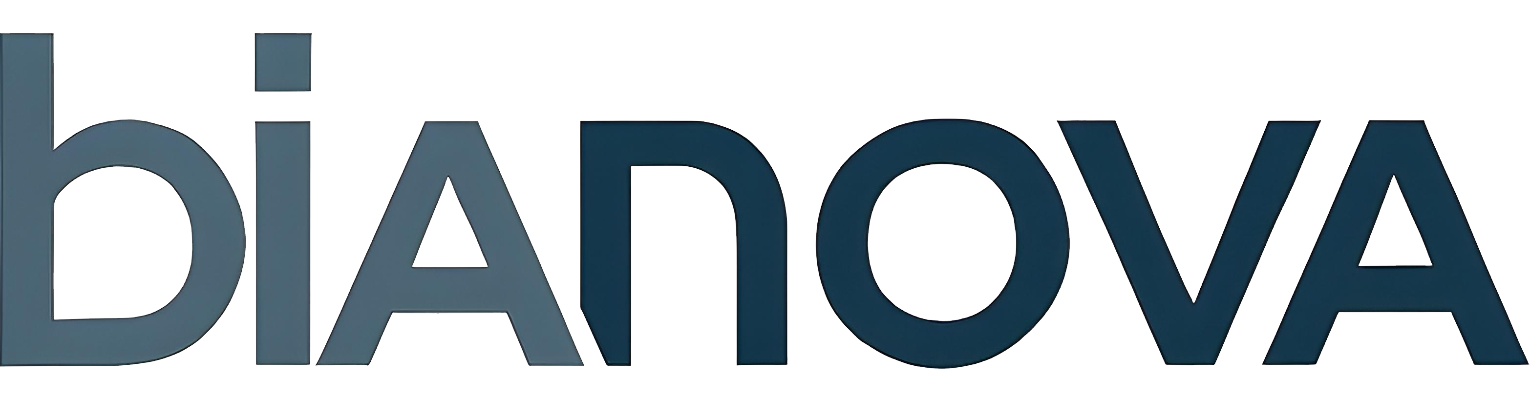 Bianova İnşaat Logosu